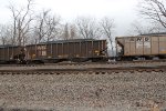NS 10196